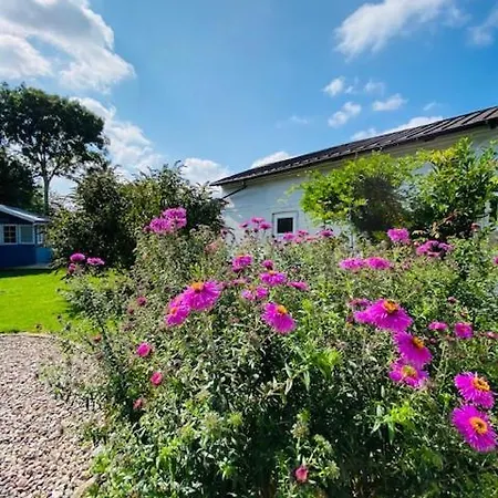 Apartmán Little Blue #7 *